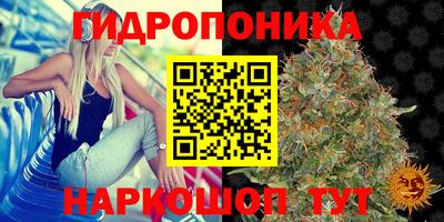 ALPHA PVP Новодвинск