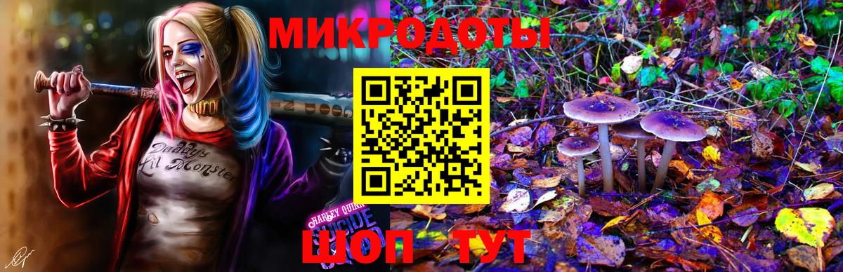 Элиста  Галлюциногенные грибы мухоморы  Вход с VPN 