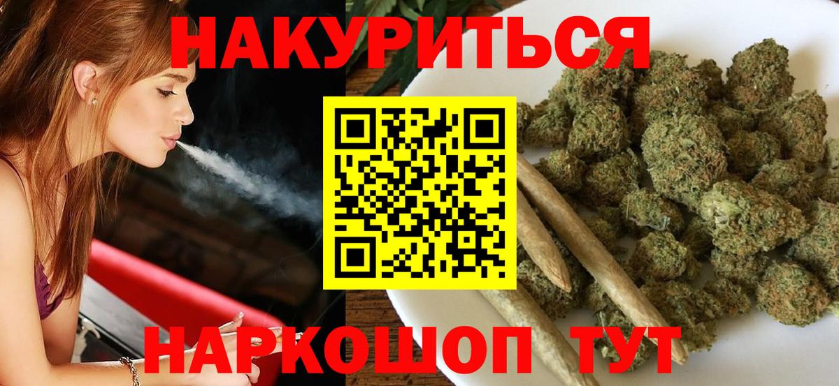 МЕФ Элиста